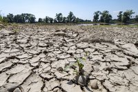 92 procent Česka postihlo sucho. A na dvou třetinách země je stav extrémní