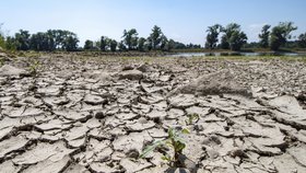 Vodohospodáři na severu Moravy varují: Jestli nebude déle pršet, omezíme dodávky vody. Ilustrační foto