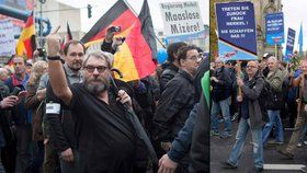 Německá populistická strana Alternativa pro Německo rozpustila svou zemskou organizaci v Sársku.