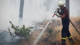 S požárem bojují stovky hasičů. Jejich práci však komplikuje nevybuchlá munice, která zde zůstala po sovětské armádě (24.8.2018).