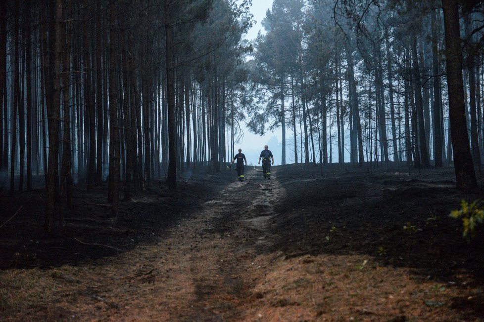 V noci na dnešek vítr rozfoukal plameny na stovky hektarů lesa (24.8.2018).