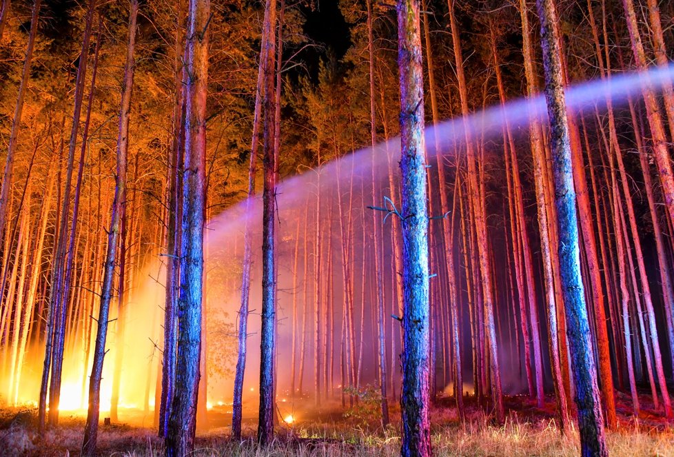 V noci na dnešek vítr rozfoukal plameny na stovky hektarů lesa  (24.8.2018).