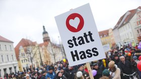 Protest proti diskriminaci migrantů v německém Cottbusu o pár měsíců dříve