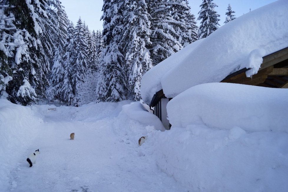 V Rakousku a Bavorsku napadly už tři metry sněhu. (12. 1. 2019)