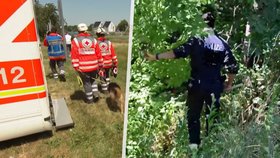 V Renningenu našli mrtvé miminko.