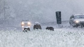 Německo překvapilo v prvním květnovém víkendu husté sněžení. Místy napadlo až šest centimetrů nového sněhu