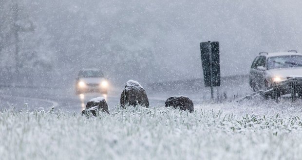 Německo překvapilo v prvním květnovém víkendu husté sněžení. Místy napadlo až šest centimetrů nového sněhu.
