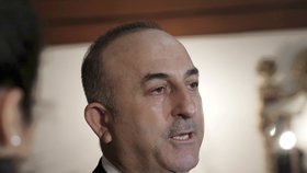 Turecký ministr zahraničí Mevlüt Çavuşoglu obvinil německou vládu, že chce dosáhnout odmítnutí ústavní reformy v chystaném tureckém referendu.