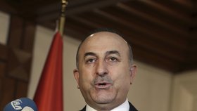 Turecký ministr zahraničí Mevlüt Çavuşoglu obvinil německou vládu, že chce dosáhnout odmítnutí ústavní reformy v chystaném tureckém referendu.