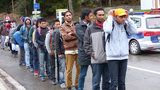 Neúspěšní migranti u soudu masově žalují Německo. V téměř půlce případů vyhrají