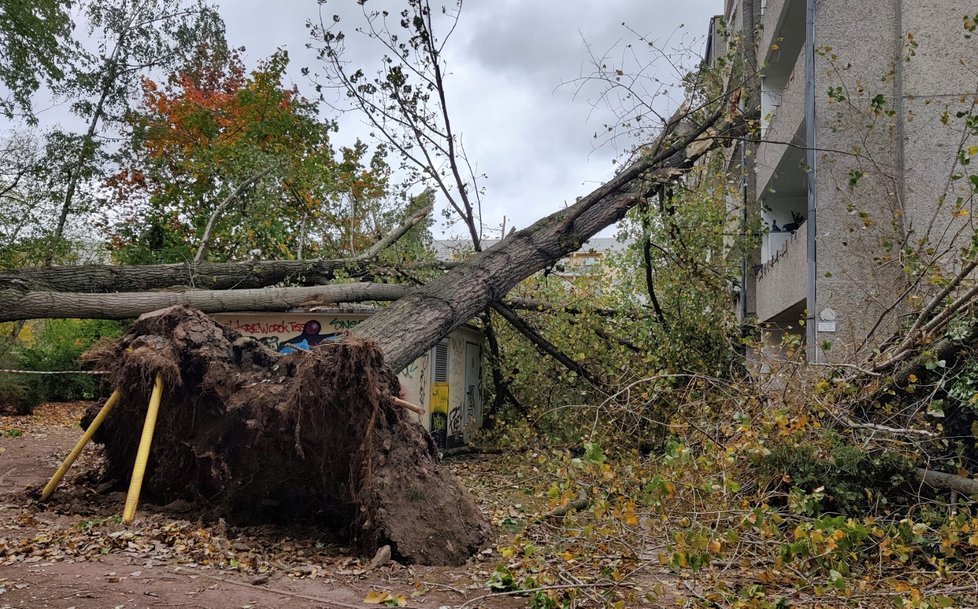 Silný vítr a bouřka působily problémy i v Německu (21. 10. 2021)