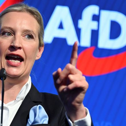 Německo začíná být neovladatelné. AfD těží ze starých křivd i neschopnosti tradičních stran Německo začíná být neovladatelné. AfD těží ze starých křivd i neschopnosti tradičních stran
