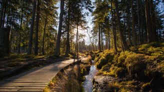 Podzimní magie v Harzu: přírodní klenot v srdci Německa