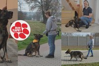 Rita čeká na domov: Má autoimunitní onemocnění, léčbu ale bude spolek adoptivní rodině hradit