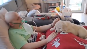 Díky Sanitce snů se Robík dočkal vytouženého psího kamaráda.