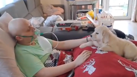 Díky Sanitce snů se Robík dočkal vytouženého psího kamaráda.