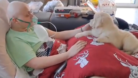 Díky Sanitce snů se Robík dočkal vytouženého psího kamaráda.