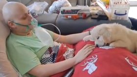 Díky Sanitce snů se Robík dočkal vytouženého psího kamaráda.