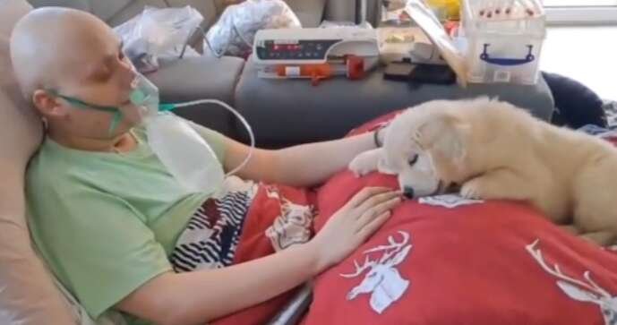 Díky Sanitce snů se Robík dočkal vytouženého psího kamaráda.