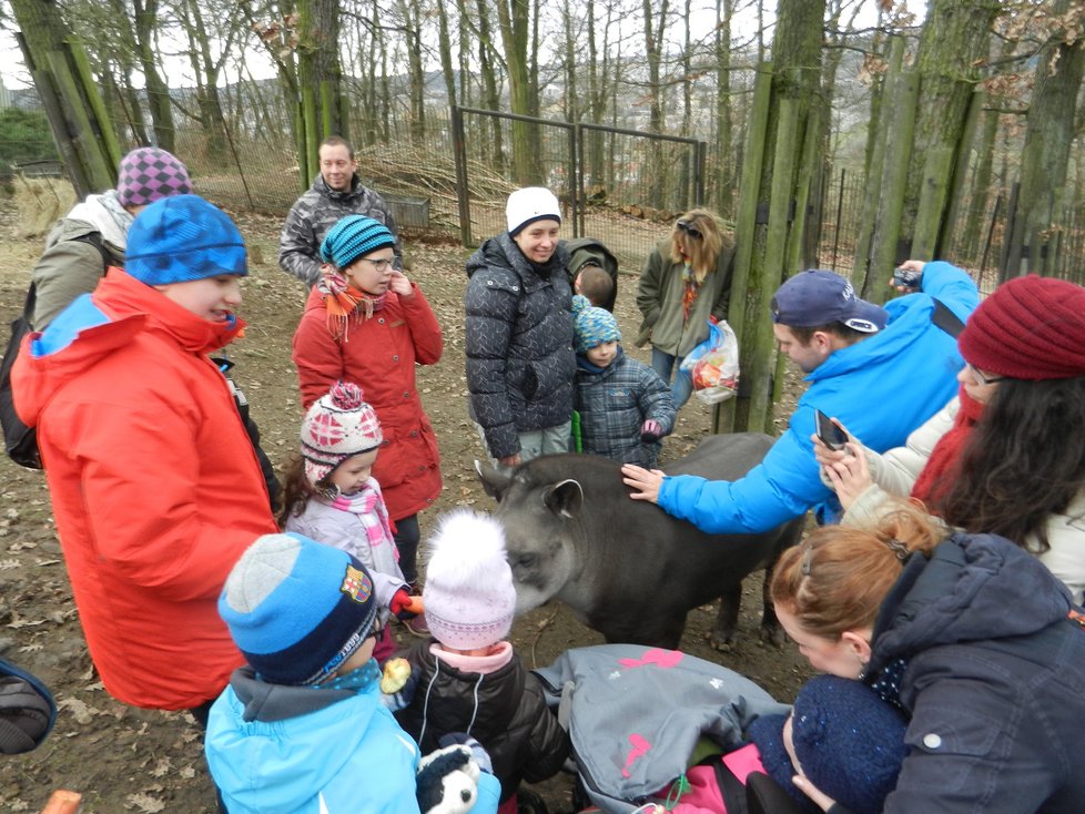 Štědrý den v ZOO 2017