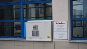 Babyboxy se do Ruska poprvé dostaly z Česka před pěti lety. Jejich přívrženci je označují za „okna života“.