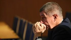 Vicepremiér a šéf hnutí ANO Andrej Babiš