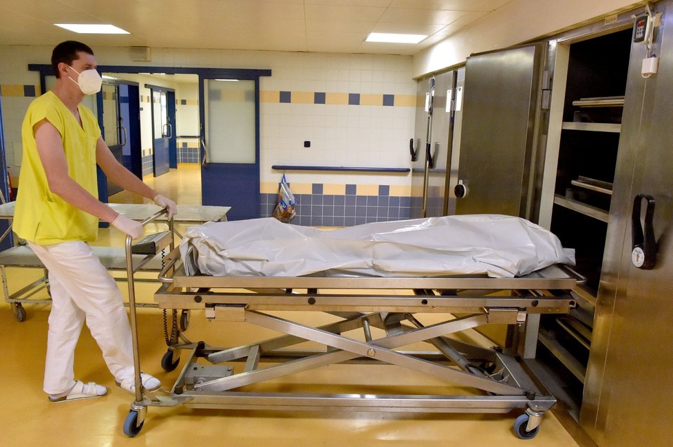 Pitevní sanitář oddělení patologie přemisťoval tělo do chladícího boxu 2. prosince 2021 ve Fakultní nemocnici Brno.