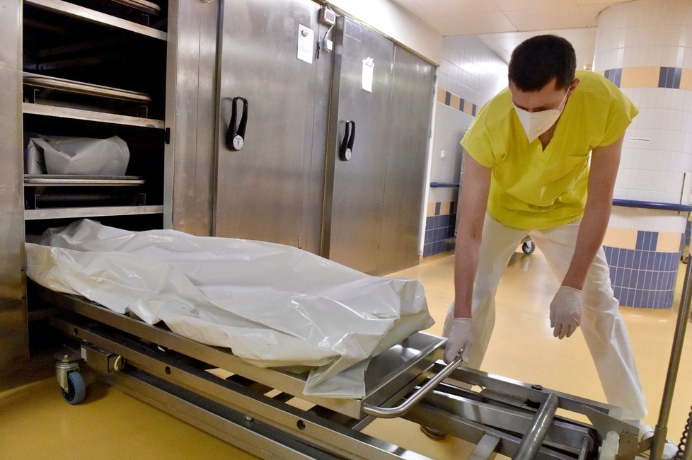 Pitevní sanitář oddělení patologie přemisťoval tělo do chladícího boxu 2. prosince 2021 ve Fakultní nemocnici Brno.