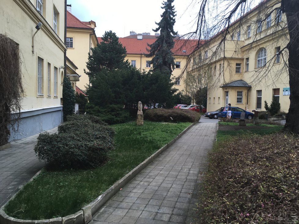 Nemocnici Na Františku v polovině roku převezme pražský magistrát.