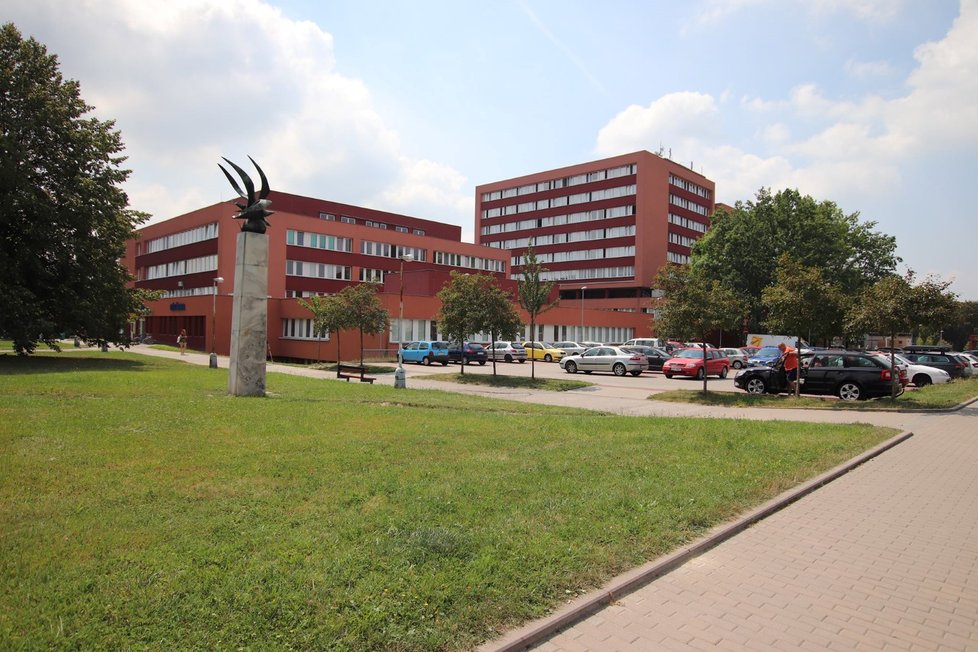 Orlovská nemocnice