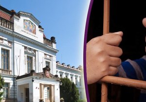 Než vznikla v Praze bohnická nemocnice, péče o choromyslné připomínala spíše trýznivé vězení.