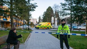 Po masakru ve Fakultní nemocnici v Ostravě hrozil v další nemocnici jiný incident