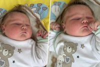 Rekordní narození v Třebíči: Obřík Teodor váží téměř šest kilo!