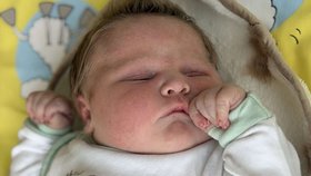 Teodorek se narodil s porodní váhou téměř šest kilo.