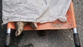 Tělo oběti na nosítkách po bleskových povodních v Devighatu v okrese Nuwakot v Nepálu. (27. 8. 2026)