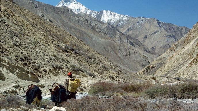 Trekking do Utajené země aneb Vzhůru k nepálskému azurovému jezeru Phoksumdo