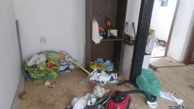 Přítelkyně režiséra Běly údajně zdevastovala pronajatý dům: Takové prase má dítě, rozčilují se lidé