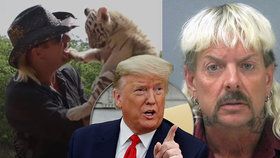 Milost díky Netfixu? Trump chce propustit Pána tygrů na svobodu!