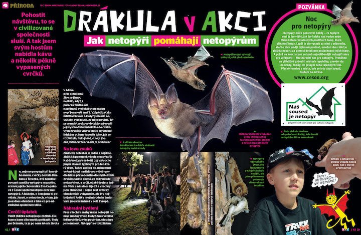 Jak netopýři pomáhají netopýrům prozradí časopis ABC č. 17