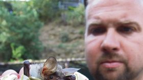 Ochránce přírody Karel Makoň ukazuje jednoho z netopýrů, kterého právě odchytl