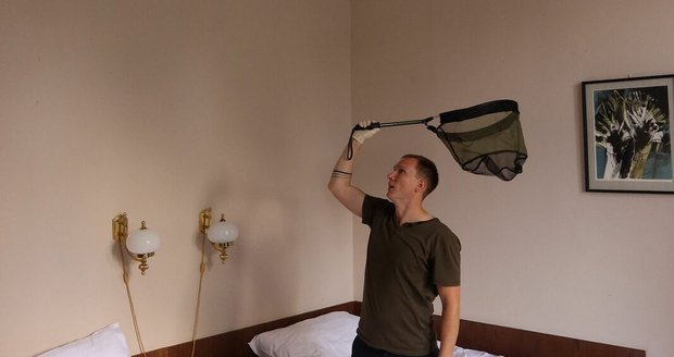 Ochránce zvířat Radek Zeman při odchytu netopýrů v hotelovém pokoji v centru Plzně.