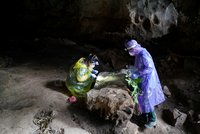 Virus podobný covidu číhá v ruských jeskyních. Přenáší ho netopýři, nakazit se může i člověk