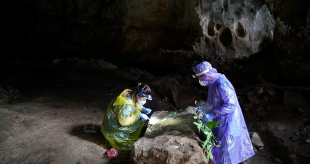 Virus podobný covidu číhá v ruských jeskyních. Přenáší ho netopýři, nakazit se může i člověk