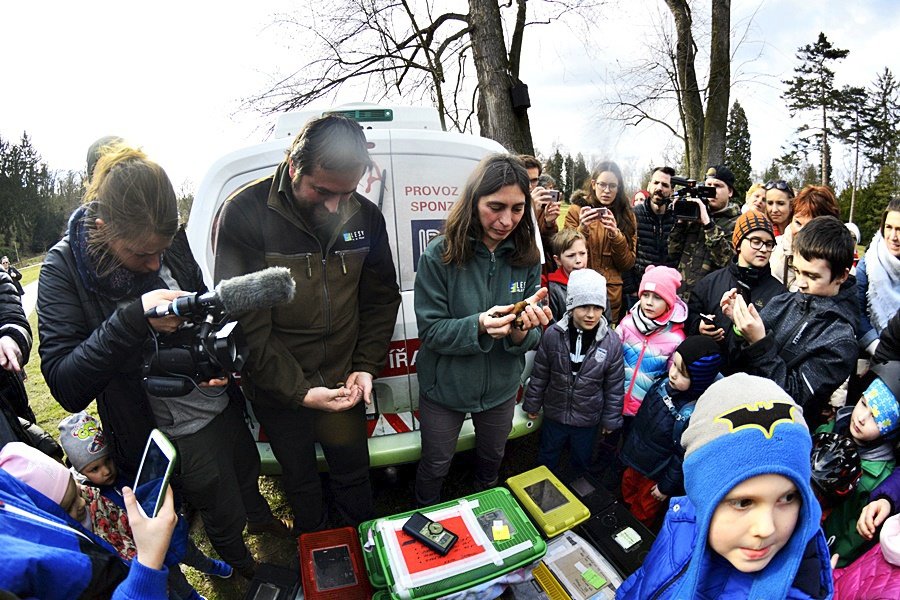 Stromovka má 200 nových netopýrů. Do vlasů vám prý nevletí, ani vám nevysají krev