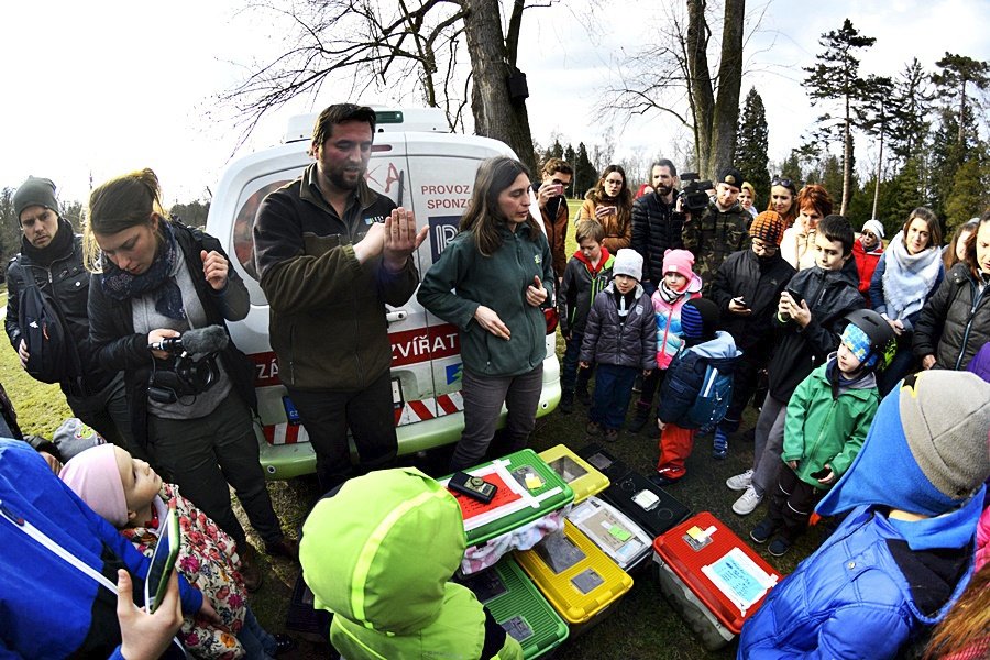 Stromovka má 200 nových netopýrů. Do vlasů vám prý nevletí, ani vám nevysají krev