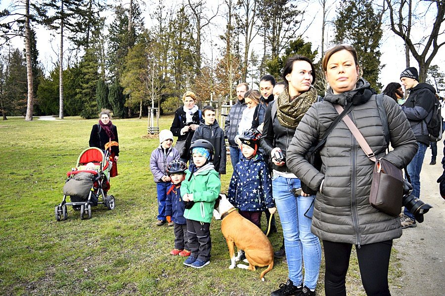 Stromovka má 200 nových netopýrů. Do vlasů vám prý nevletí, ani vám nevysají krev