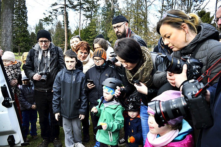 Stromovka má 200 nových netopýrů. Do vlasů vám prý nevletí, ani vám nevysají krev