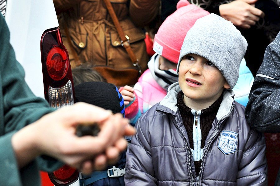 Stromovka má 200 nových netopýrů. Do vlasů vám prý nevletí, ani vám nevysají krev