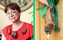Zdenka z Prahy: Mám doma 15 netopýrů!