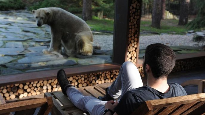 Netradiční ubytování v zoologické zahradě ve městě La Flèche na západě Francie.